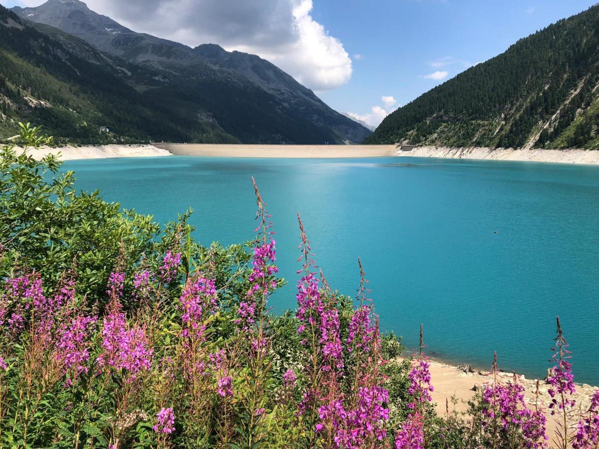 Landhaus Zillertal Ramsau im Zillertal Exteriör bild