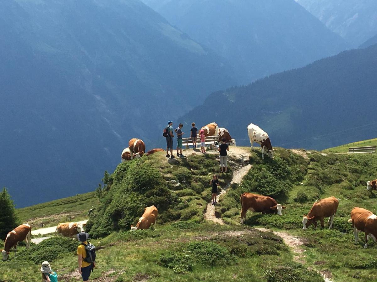 Landhaus Zillertal Ramsau im Zillertal Exteriör bild