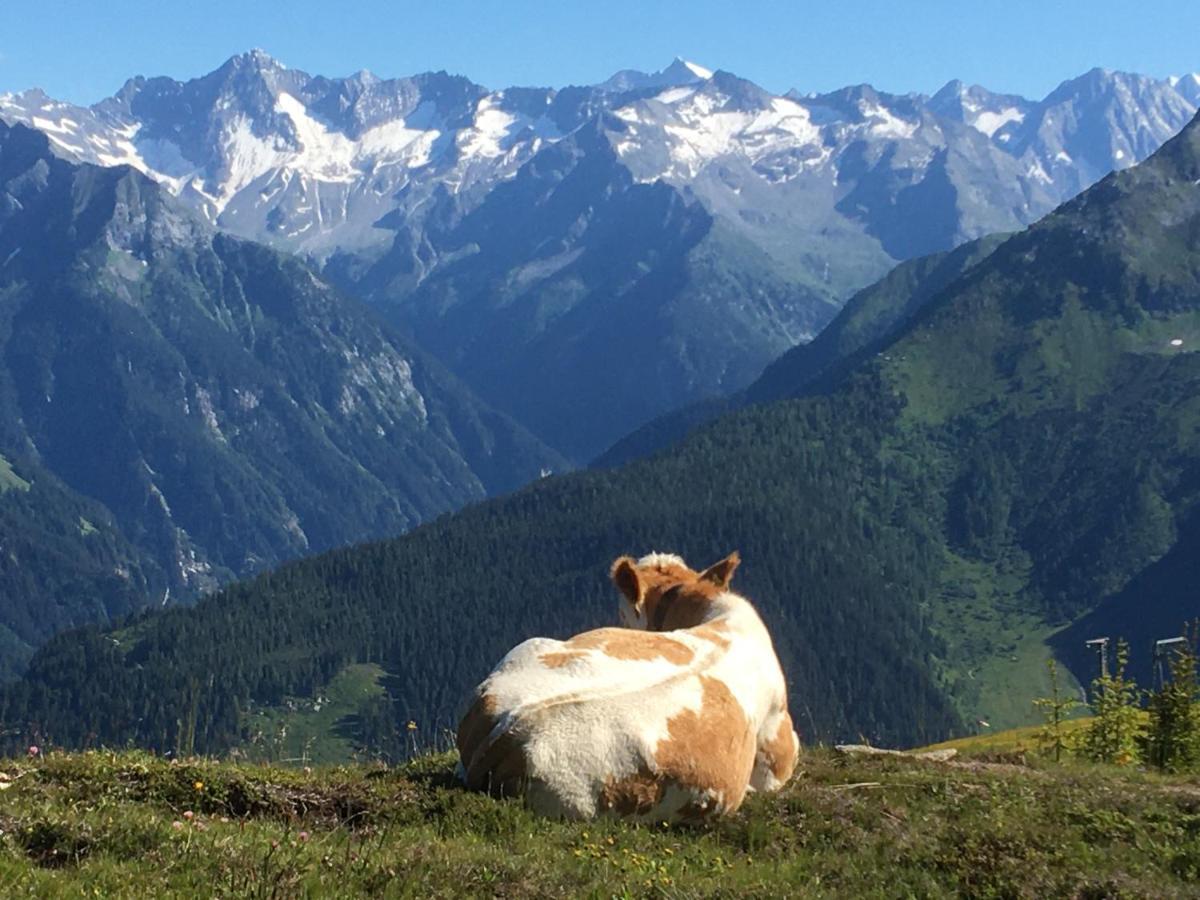 Landhaus Zillertal Ramsau im Zillertal Exteriör bild